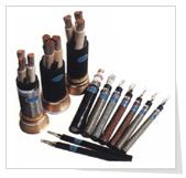 ʯ������Ȼ���ÿ��ƹܾ�